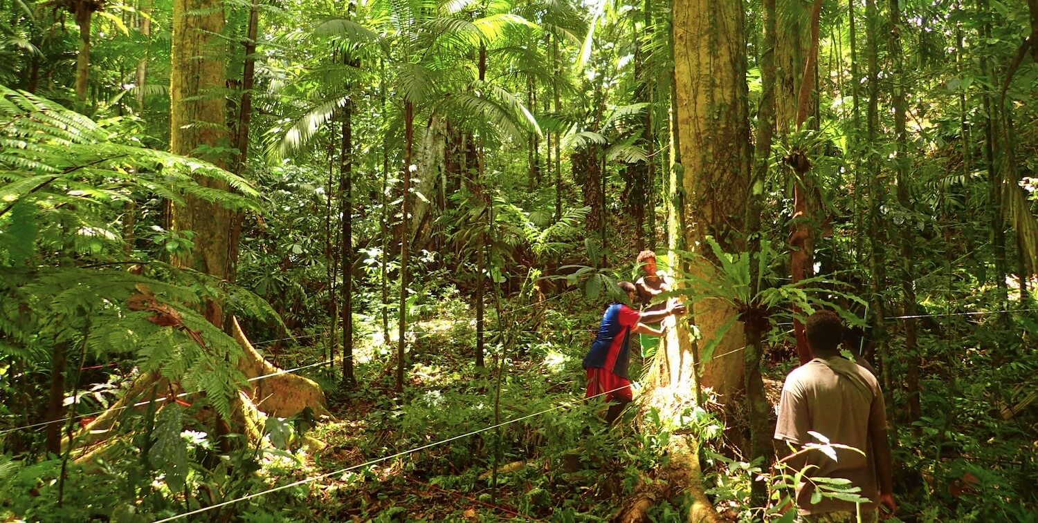 Saving Solomon Islands' Forests, One Protected Area at a Time | CEPF