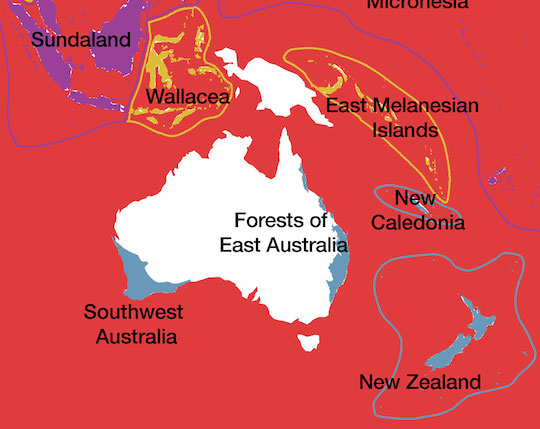 A map shows the location of the Forests of East Australia Biodiversity Hotspot.