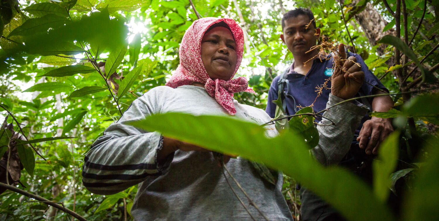 En el bosque, una mujer con un pañuelo rojo en la cabeza sosteniendo la raíz de un árbol con un hombre parado a su lado.