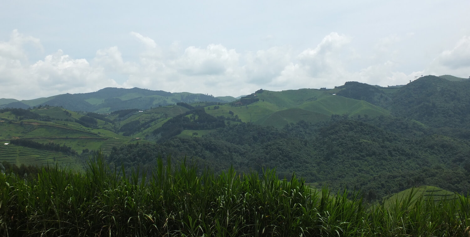 Vista of green, undulating hills.