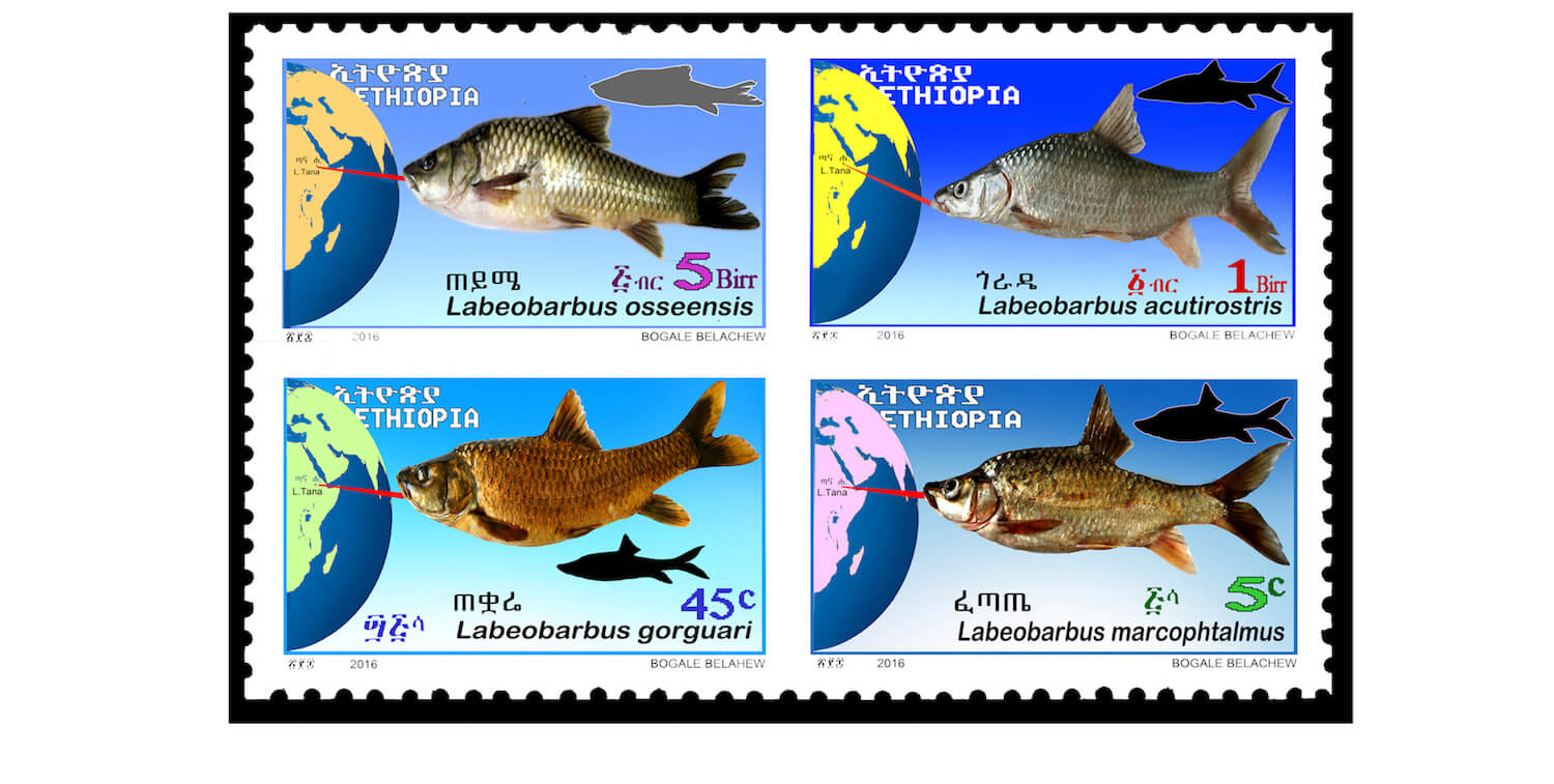 4 sellos con dibujos de peces en ellos