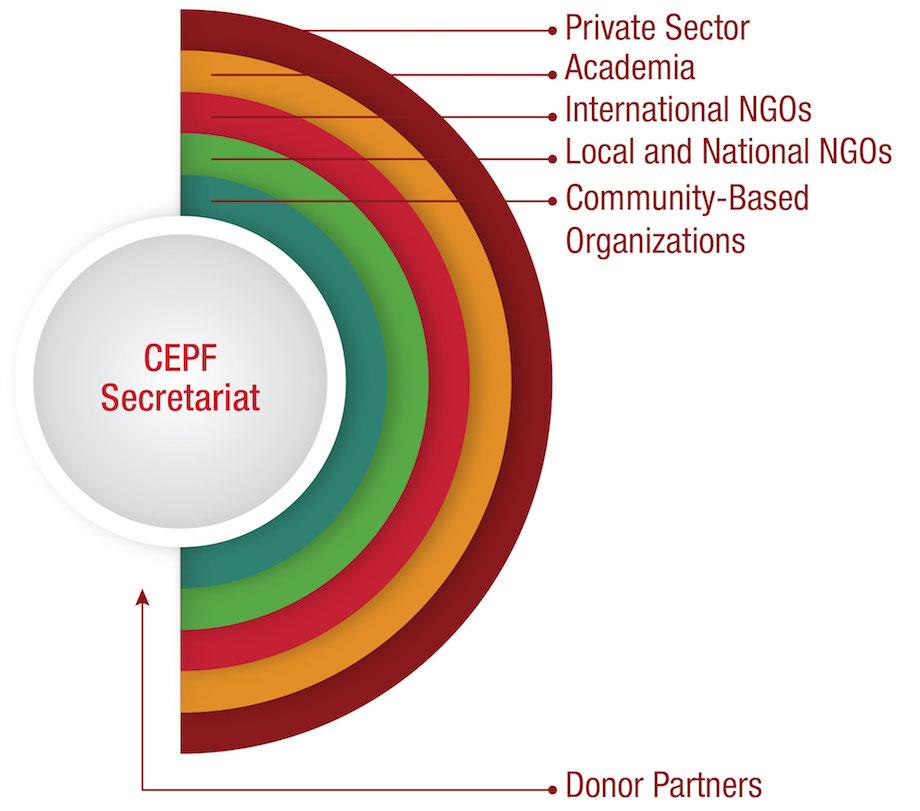 Graphic showing CEPF's relationship to donors and various types of grantees.
