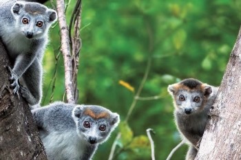biodiversity hotspot assignment biodiversity hotspot assignment
