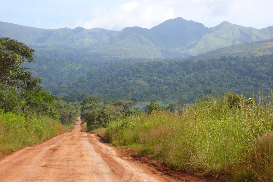 Nimba mountains at the border between Liberia and Guinea