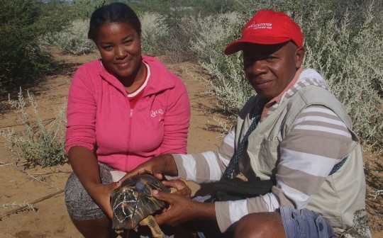Two people holding a tortoise with a tracking tag on it