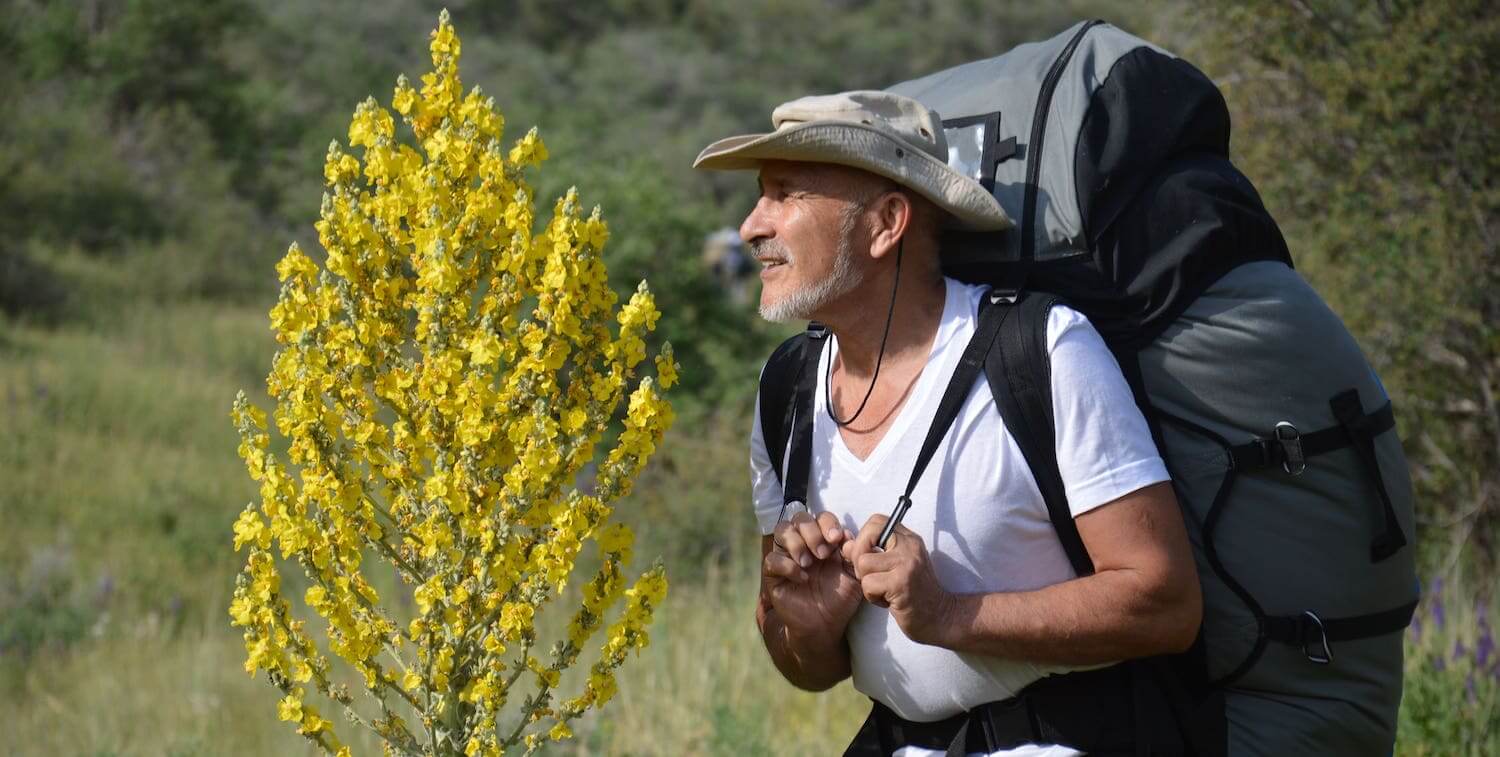 Homme avec un grand sac à dos debout à côté d'un arbre à fleurs jaunes.