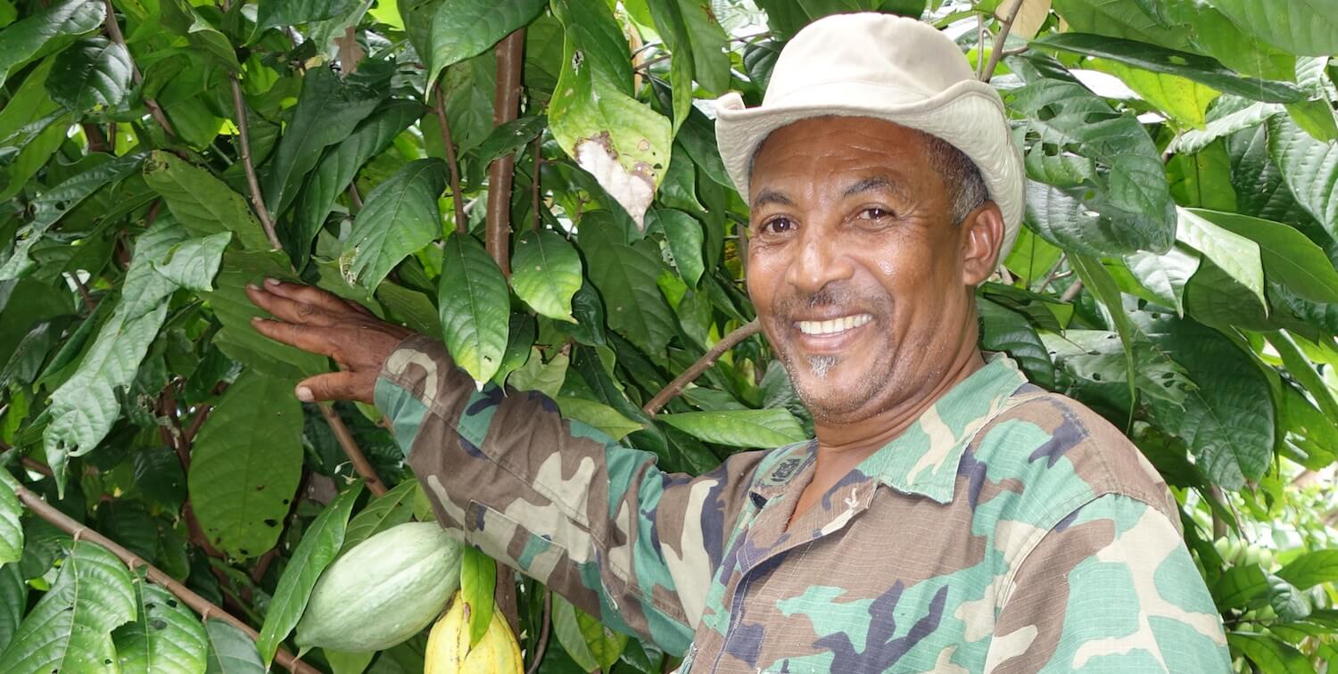 hombre, actuación, planta