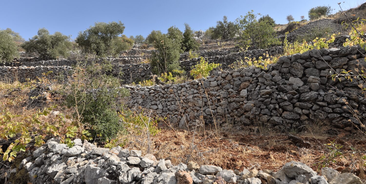 Several stone walls on hill.