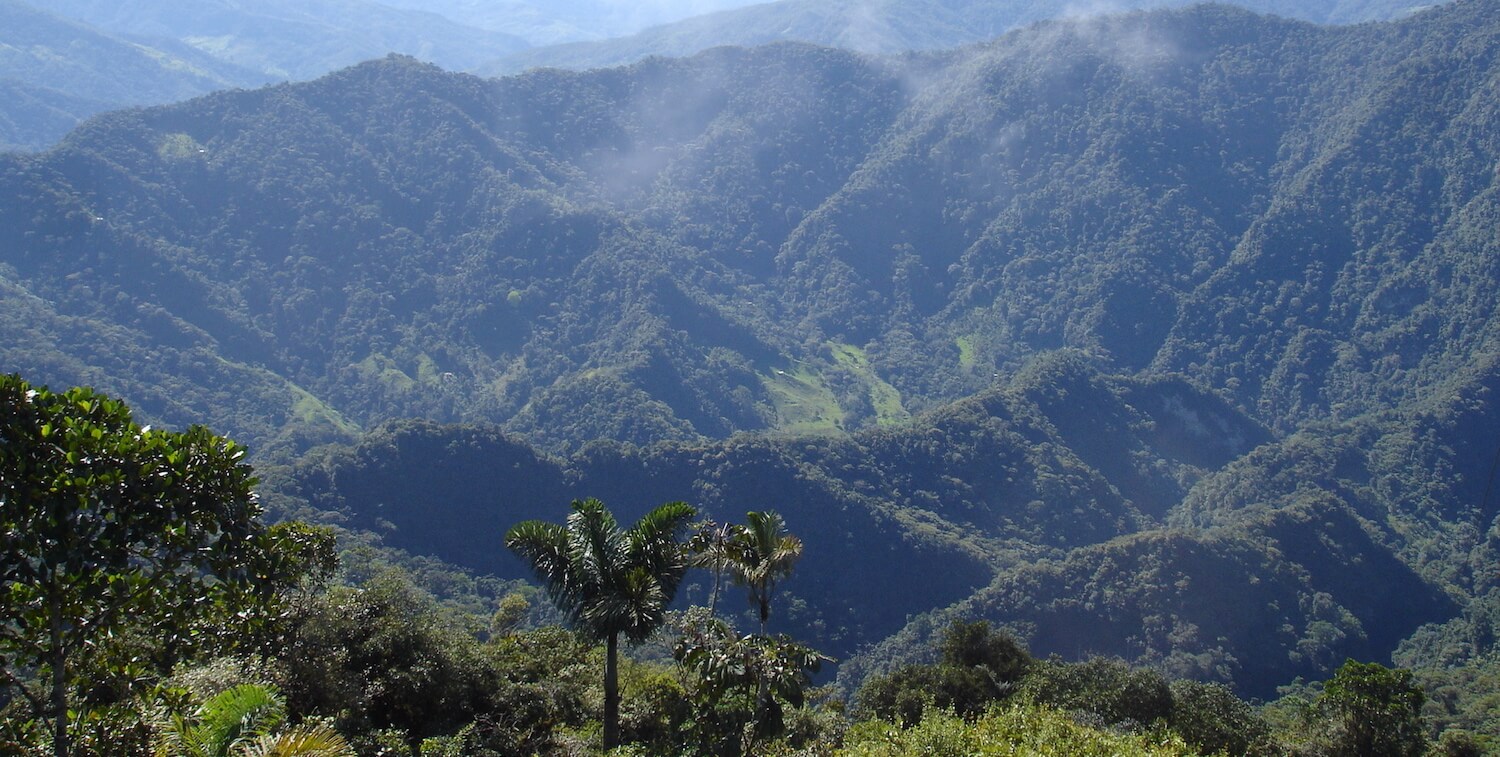 Landscape of green mountains.