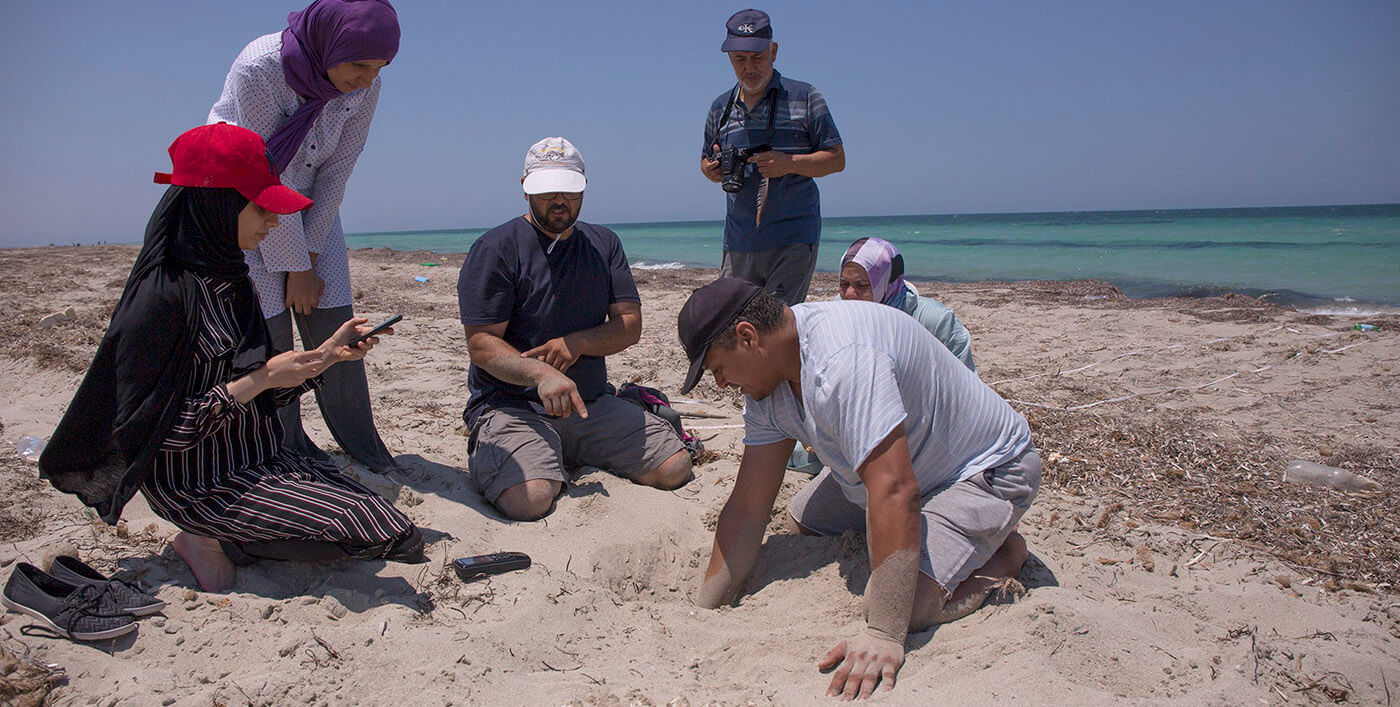 Five people on beach, one is digging with his hand.