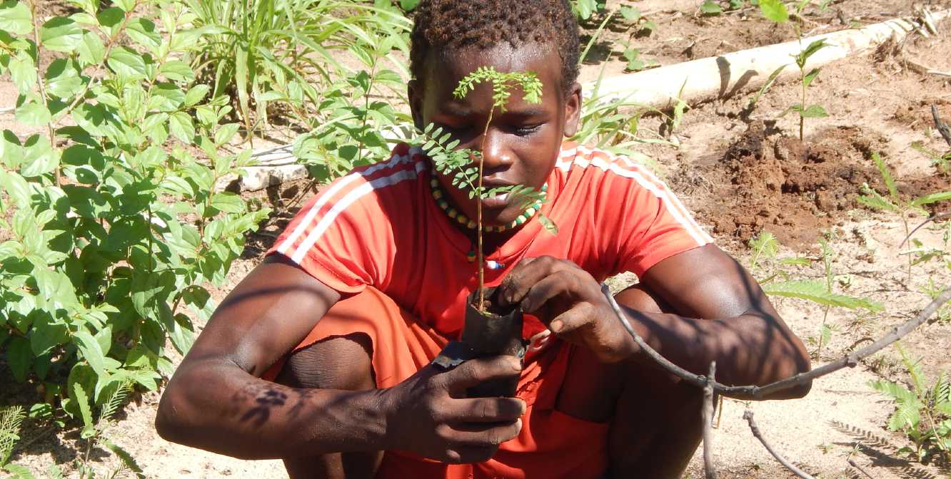 Young teen planting a seedling. 
