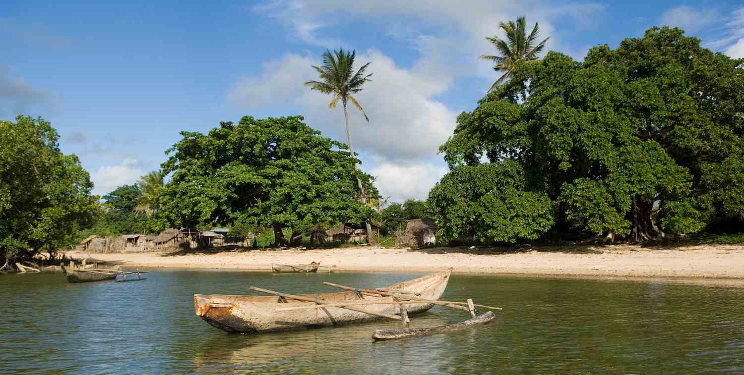 Small boat on water next to beach with palm tree and other foliage.