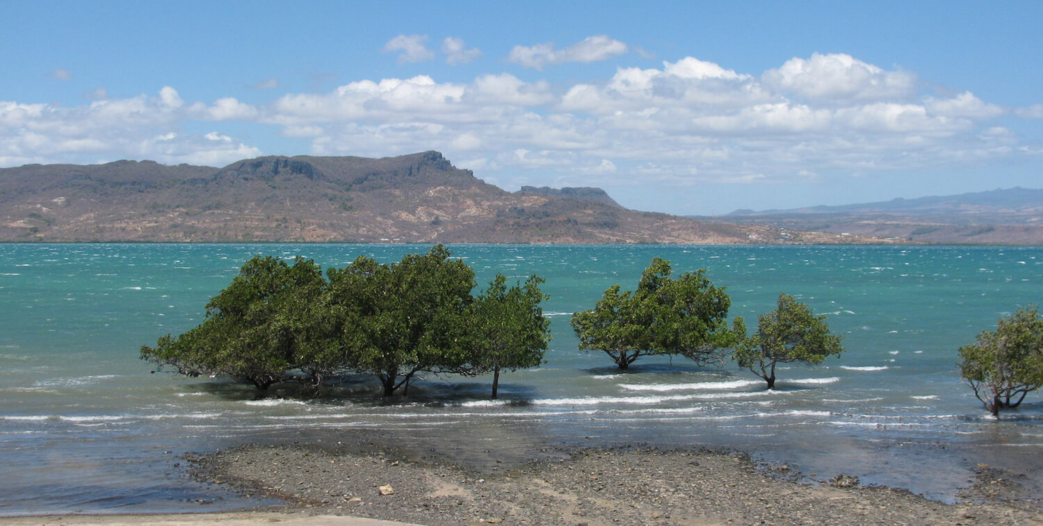 Manglares en primer plano, océano y luego isla en segundo plano