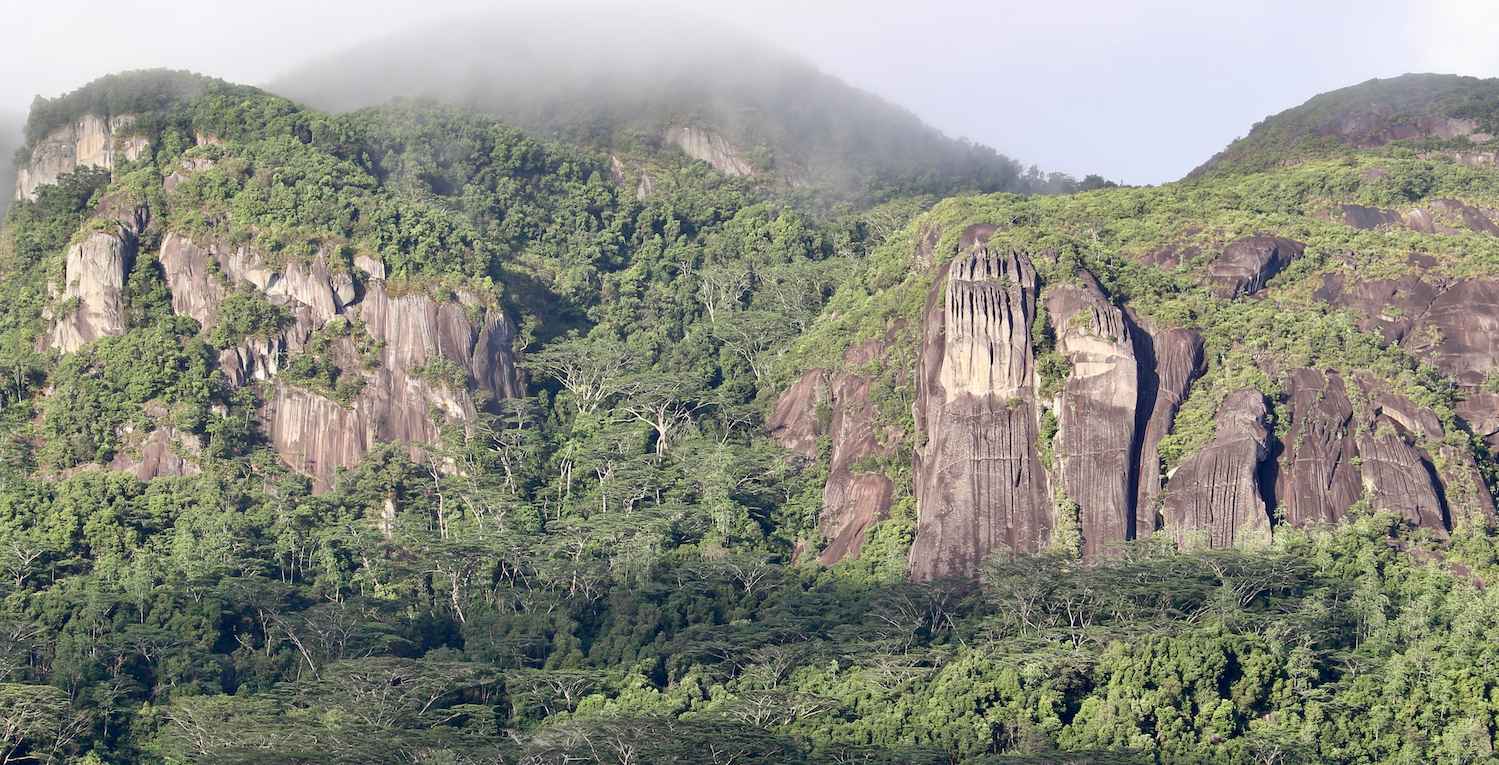 Rock outcroppings within green forest with mountain top in background.