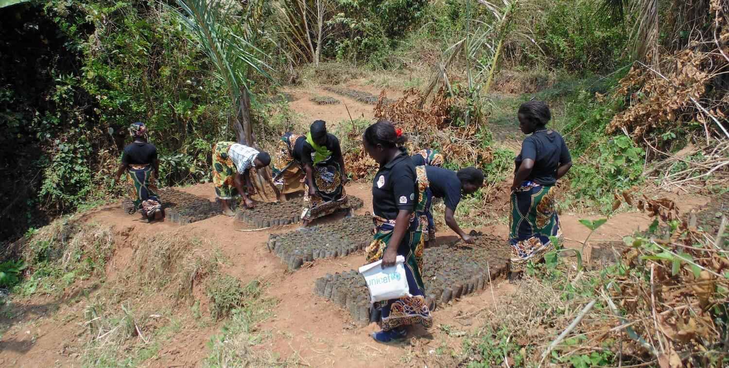 Handful of people planting small trees.