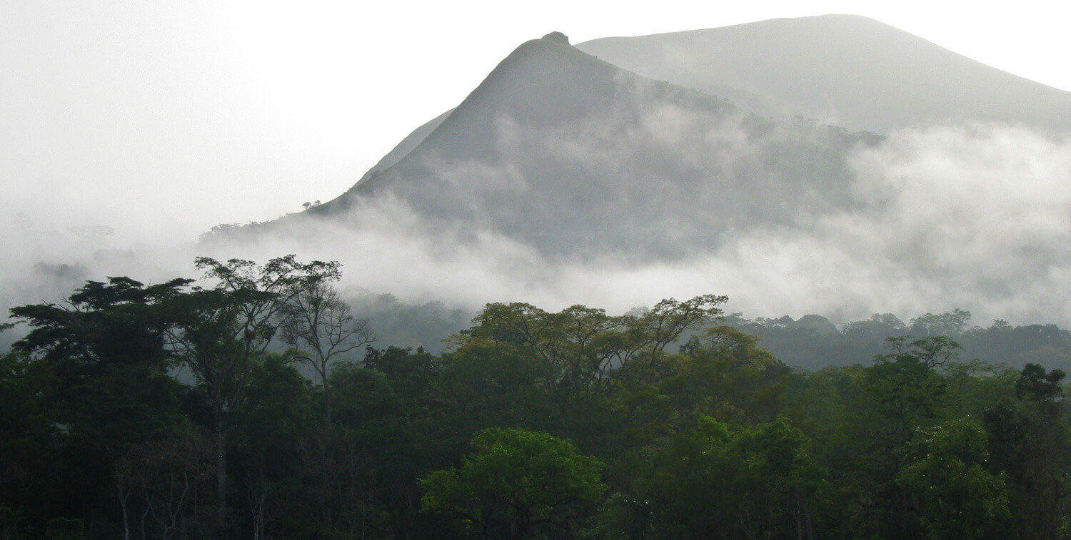 Forêt en premier plan, fond de montagne.