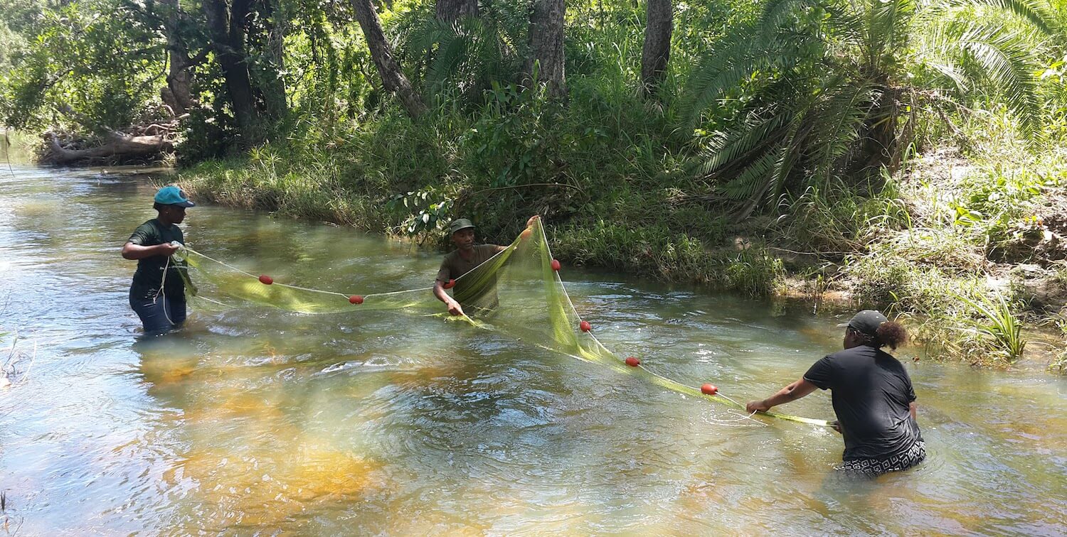 Three people stand in waist-deep water, holding net.