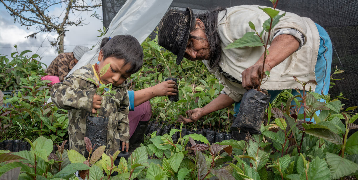 Mujeres y niños pequeños en un vivero comunitario.