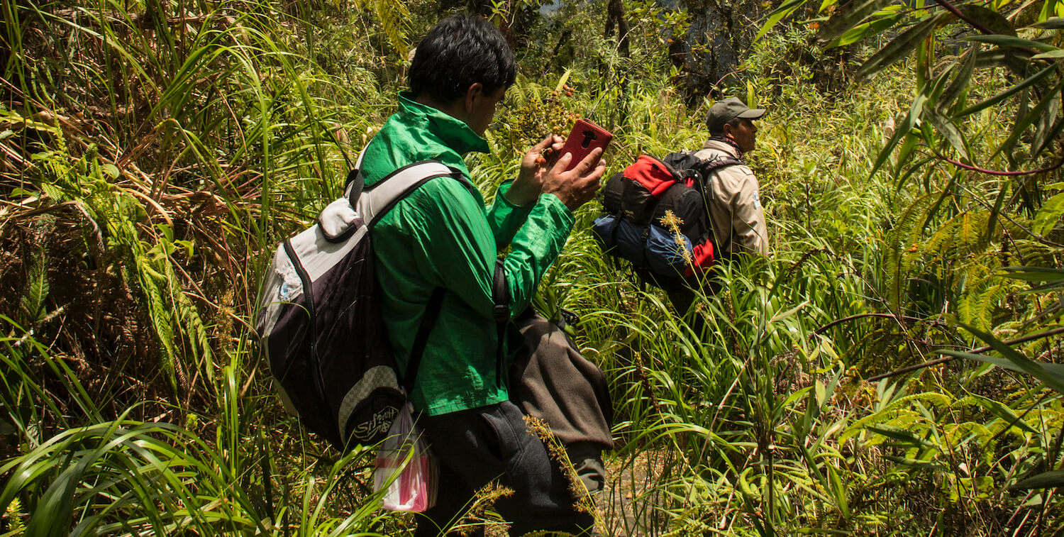 Dos hombres caminando por el bosque nuboso.