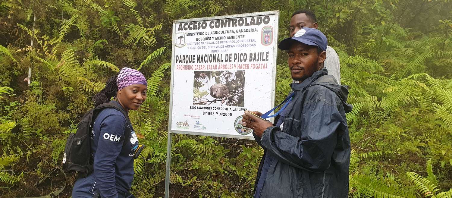 A woman and two men stand next to a sign near thick vegetation. 
