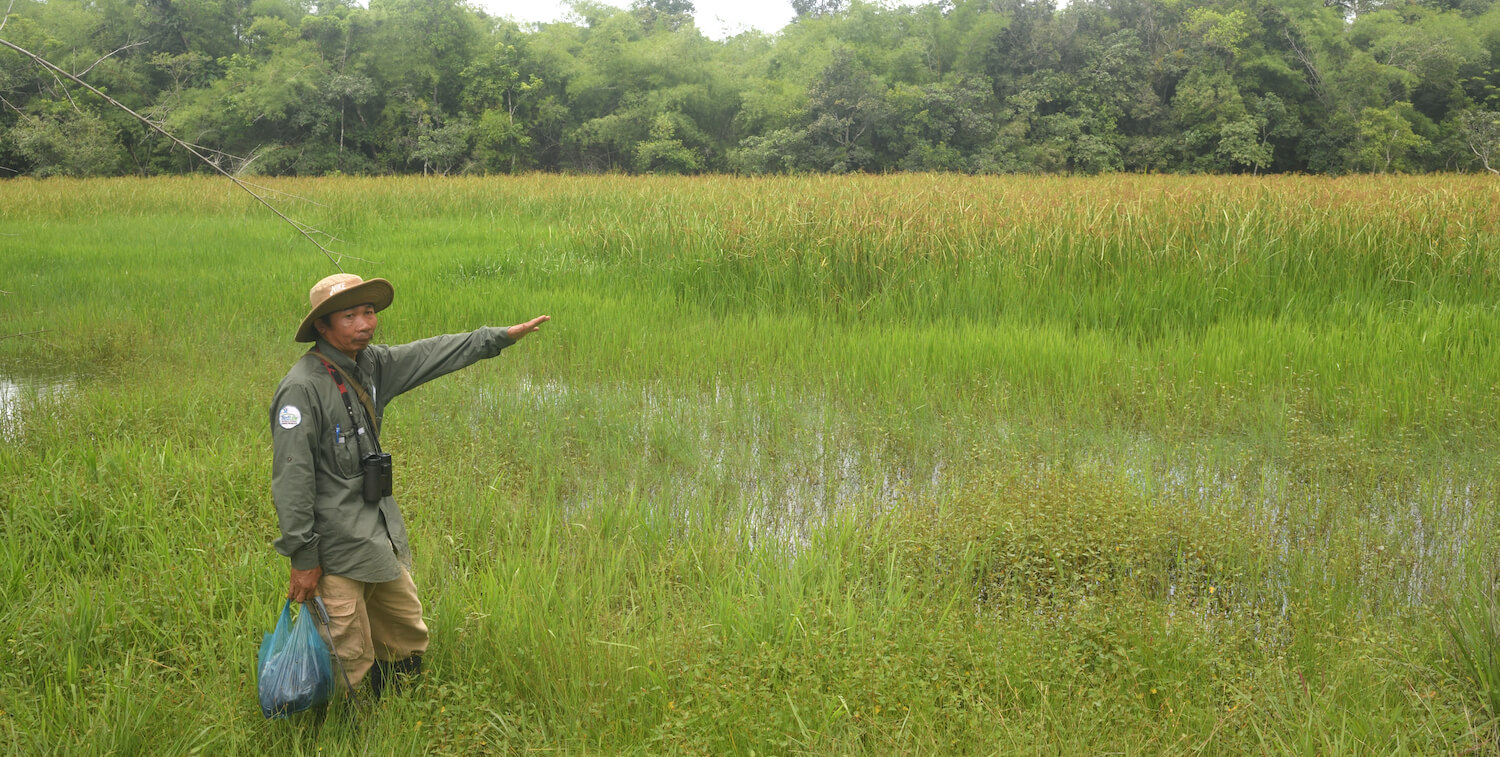 Man pointing out at wetland.