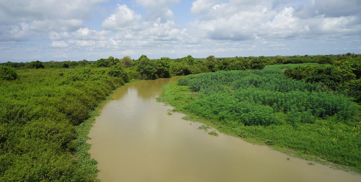 Río angosto y marrón que se curva a través de vegetación baja.