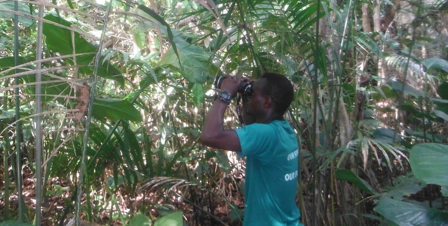 Man looking through binoculars in forest.
