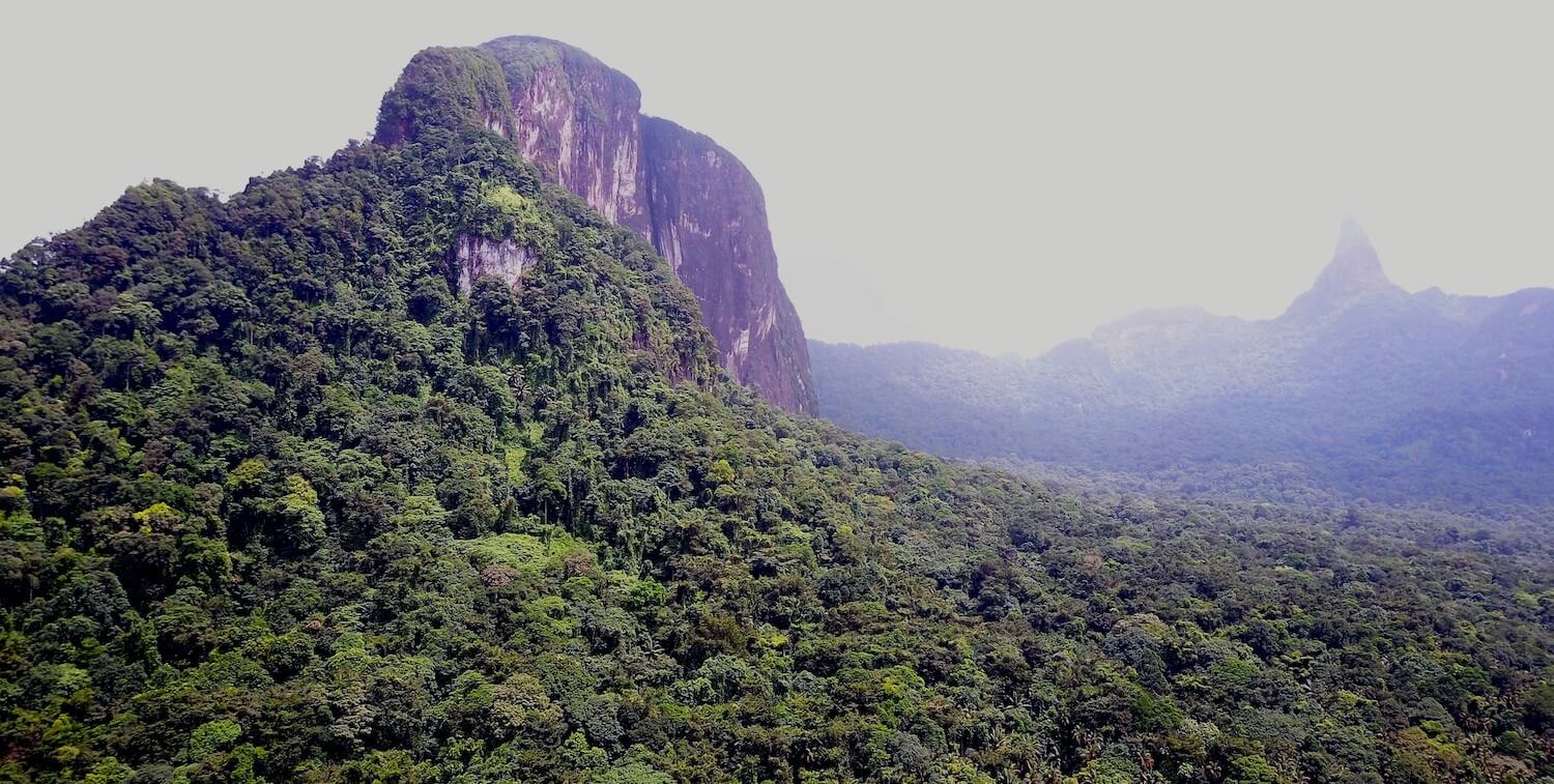 Montaña verde y exuberante con cima rocosa