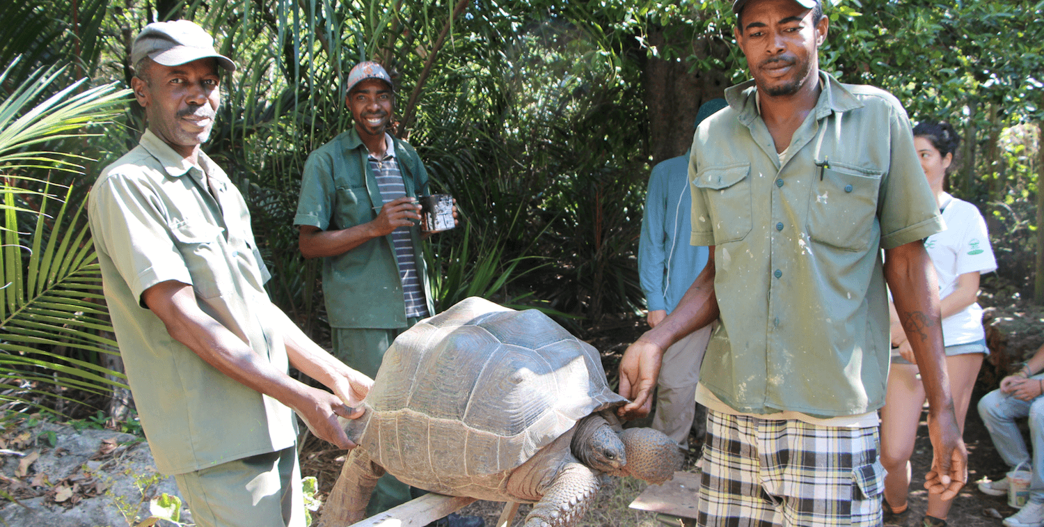 Dos hombres llevan una tortuga grande, otro hombre sonríe en el fondo.