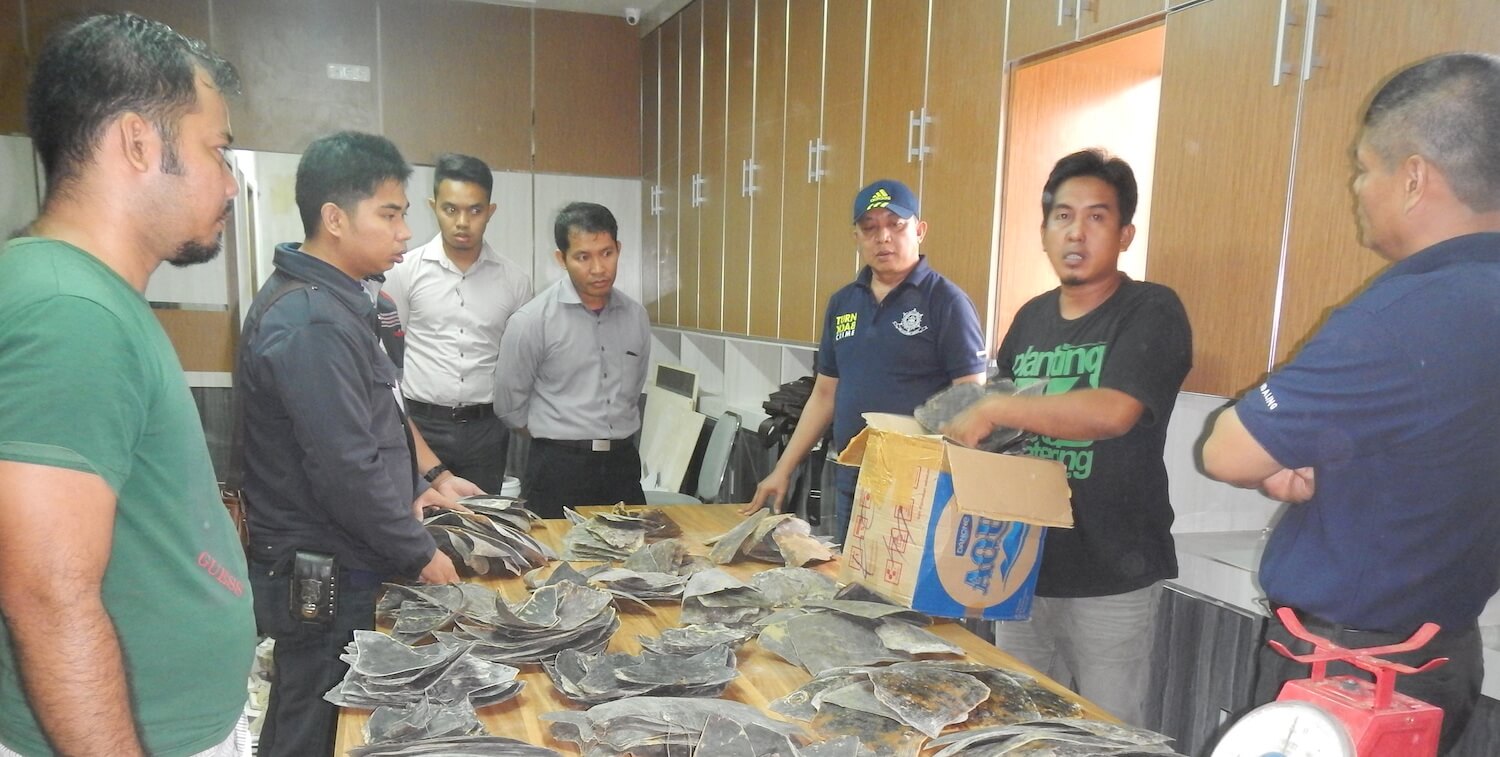 Siete hombres se paran alrededor de una mesa llena de muchos caparazones de tortugas marinas.
