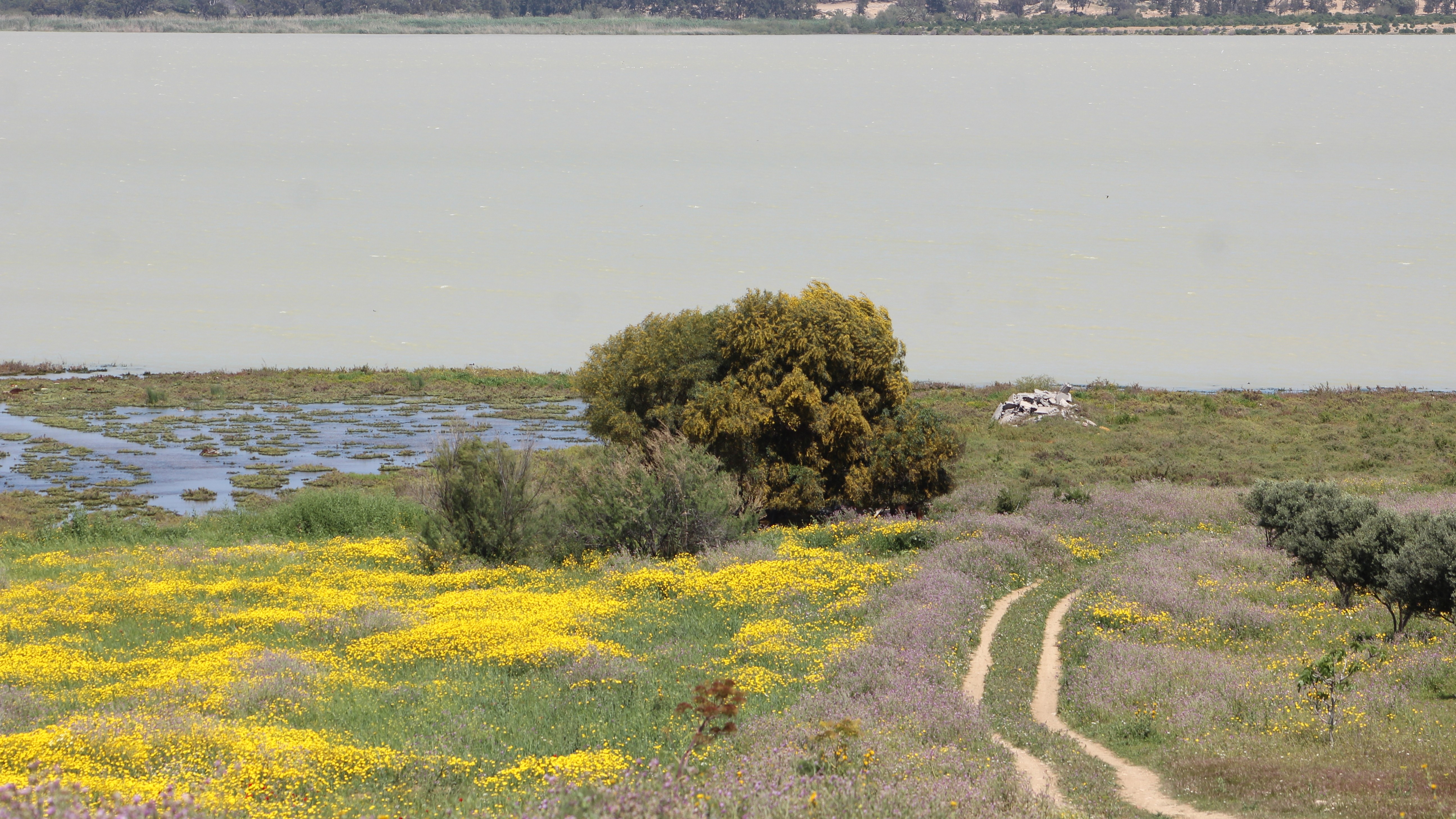 Sebkhet Sejoumi, un sitio Ramsar en Túnez