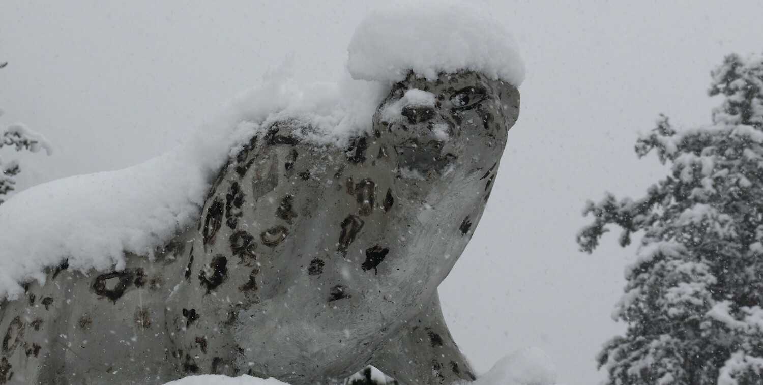 Statut de léopard des neiges avec plusieurs pouces de neige sur le dessus.