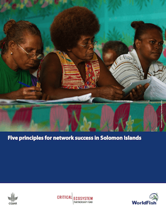 Publication titled "Five principles for network success in Solomon Islands"