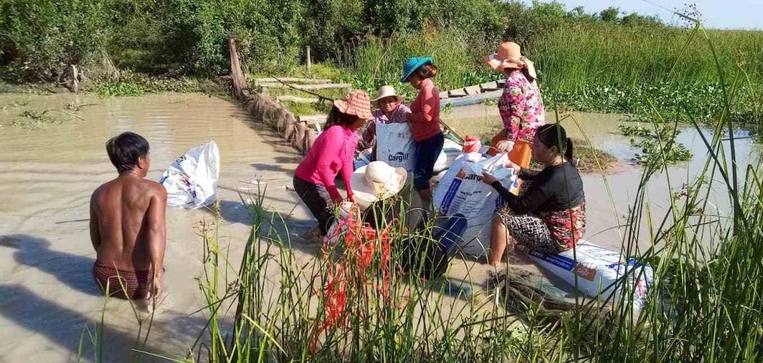 A group of women stand in a small, muddy body of water working on a barrier used for fishery management.