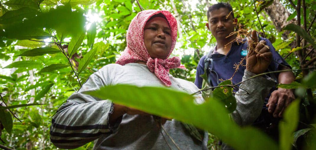 Mujer sosteniendo una planta, hombre a su lado, en el bosque.