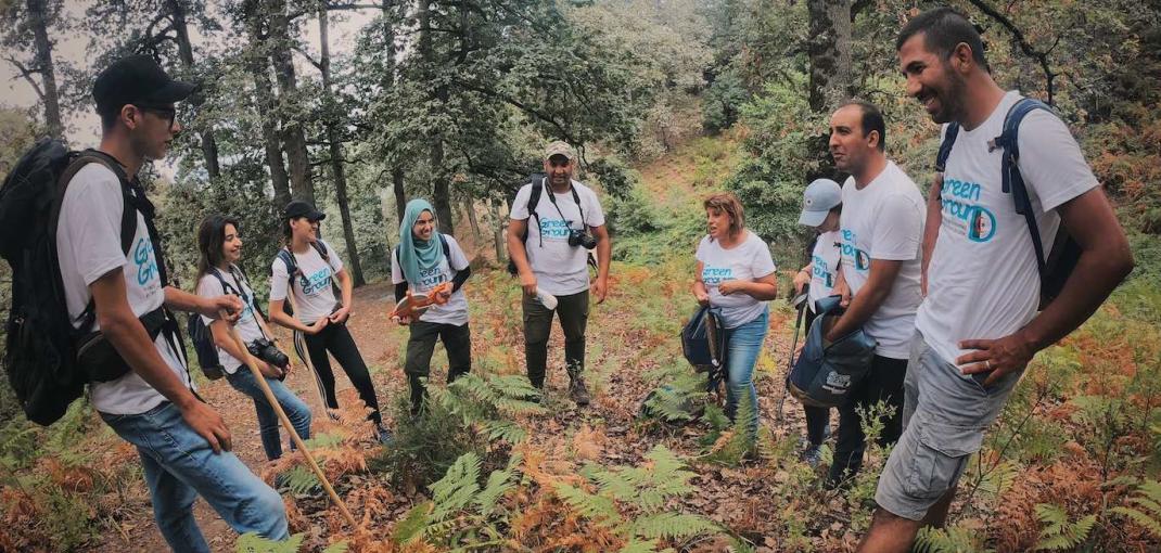 A group of women and men stand around ferns in a wooded area and talk.