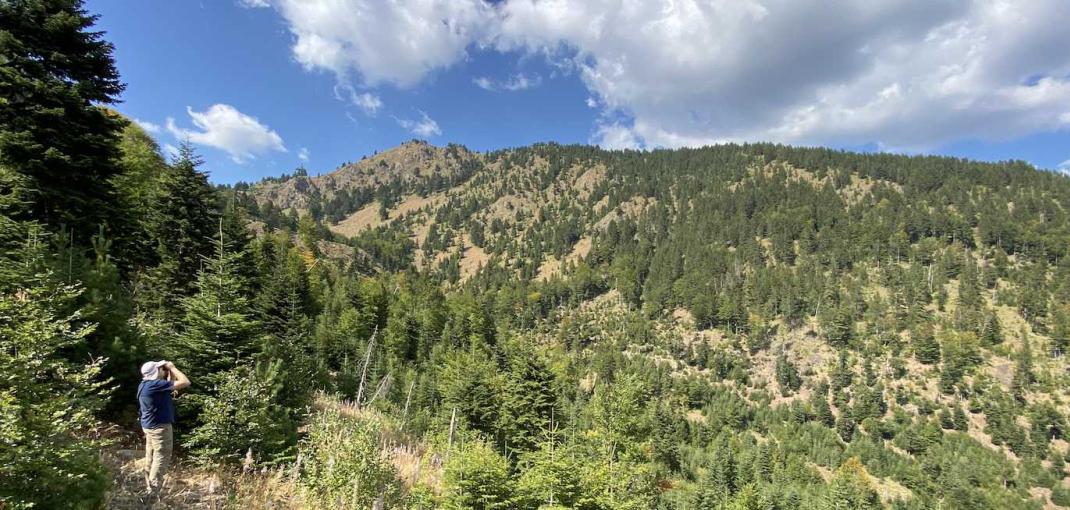 Un homme regarde vers le haut à travers des jumelles dans un paysage de montagne boisé.