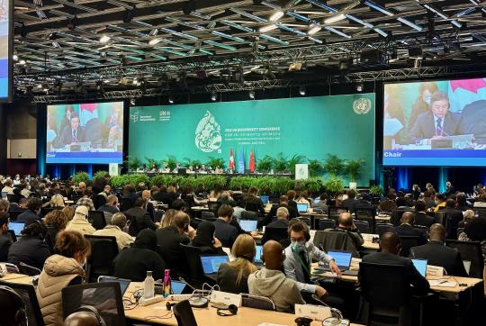 CBD COP 15