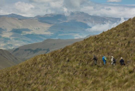 Small group of people crosses a grassy mountain landscape.