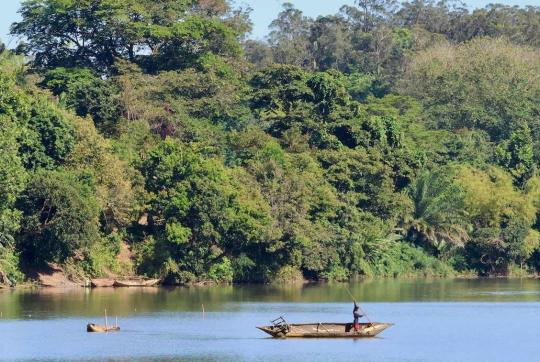 Un homme rame un petit bateau sur une rivière près d’une forêt.