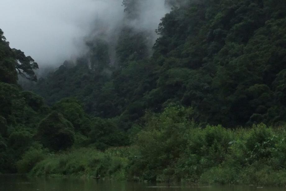 Valle exuberante con nubes.