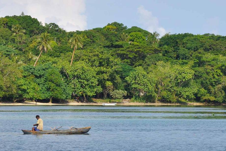 Pescador en el agua en bote pequeño, exuberante isla en el fondo.
