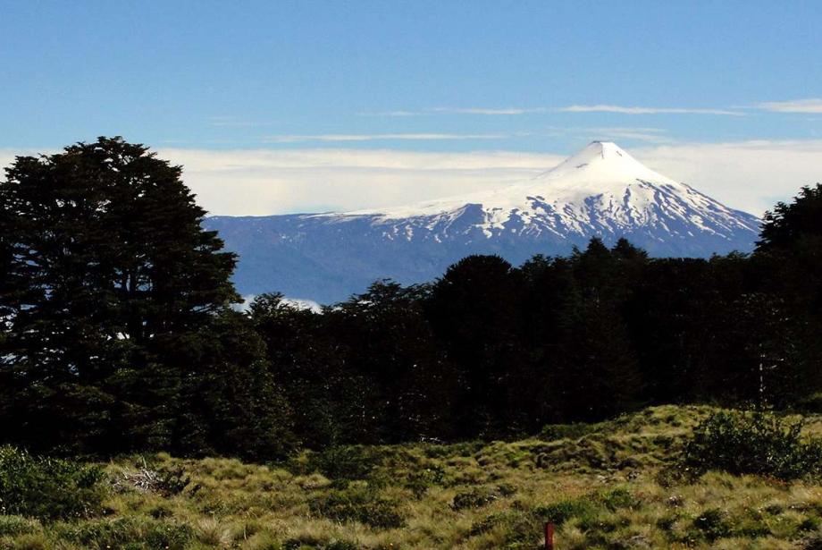 Green landscape with snow-covered volcanic cone in the distance.