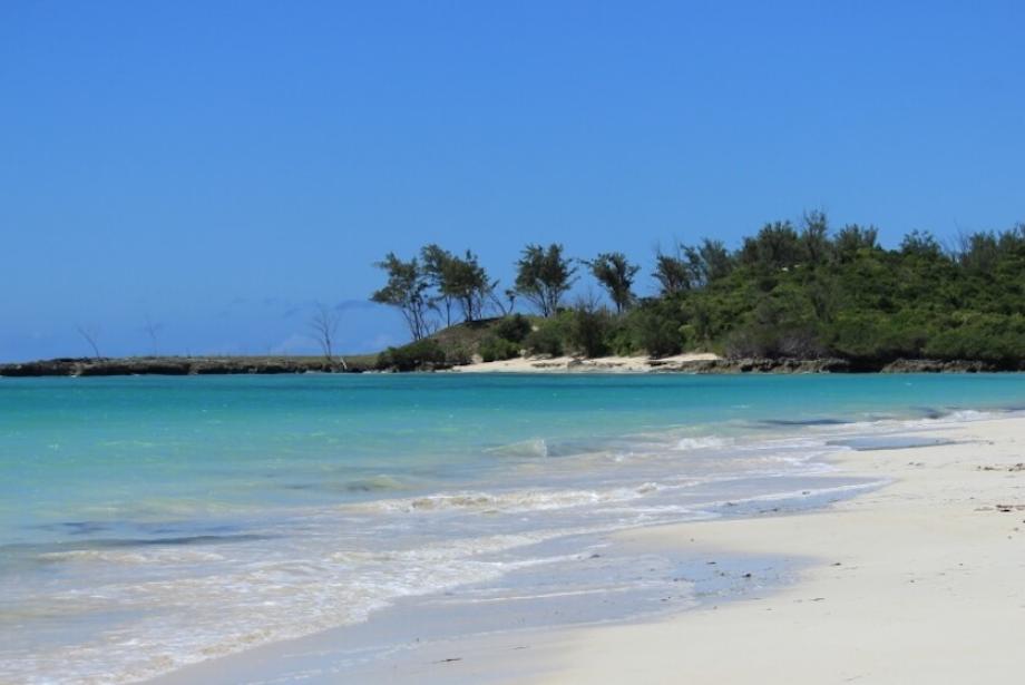 Playa de arena blanca, aguas turquesas y árboles de fondo.