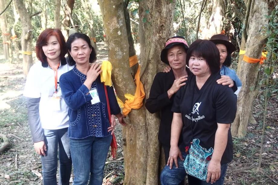Five women standing next to several trees with yellow ribbons tied to them. 