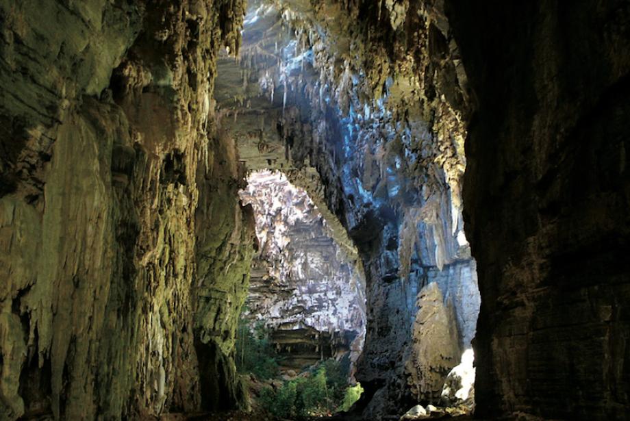 Inside a large cave with light filtering in.