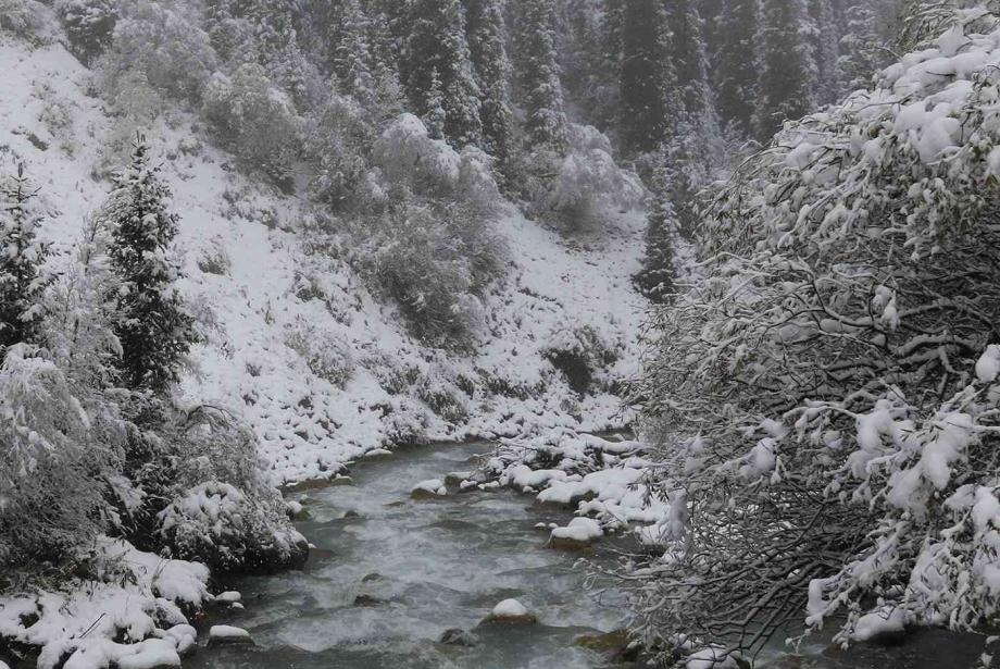 Stream running through snow-covered landscape.