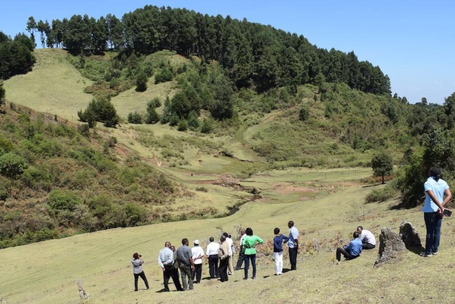 Group of about a dozen people standing in field that slopes up to a tree-covered hill.