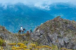 El hombre a pie lleva a la mujer a caballo por un terreno ondulado.