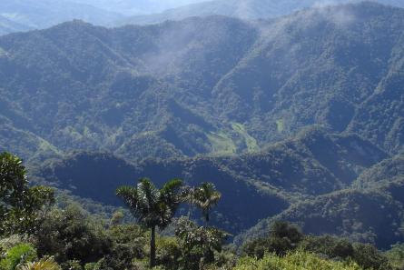 Paisaje de montañas verdes.